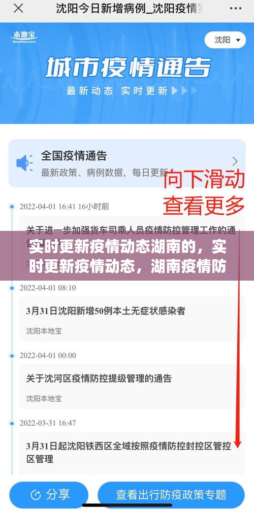 湖南疫情防控实时动态更新，湖南疫情防控工作全面展开