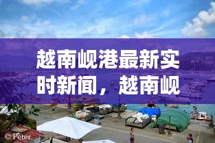 越南岘港最新实时新闻与热点解析