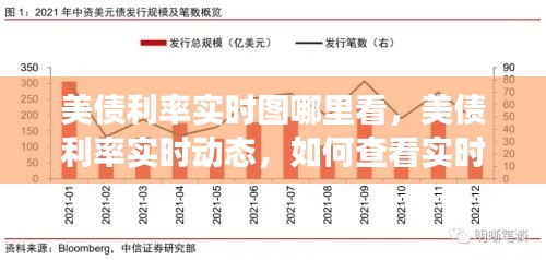 美债利率实时动态跟踪，如何查看实时图掌握市场动态