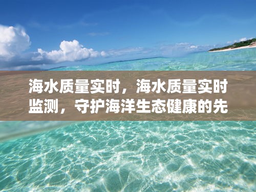 守护海洋生态健康先锋科技，海水质量实时监测实时反馈系统