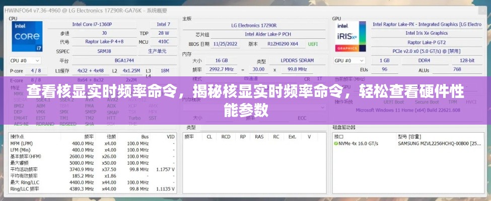 揭秘核显实时频率命令，轻松查看硬件性能参数全攻略