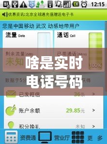 实时电话号码查询解析，概念、应用与未来展望