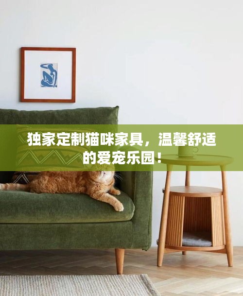 独家定制猫咪家具，温馨舒适的爱宠乐园！