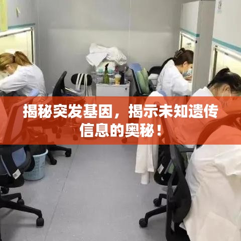 揭秘突发基因，揭示未知遗传信息的奥秘！