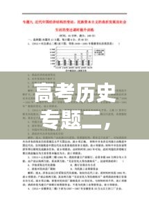 高考历史专题二，历史变迁与社会发展的深度探讨