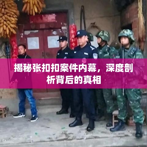 揭秘张扣扣案件内幕，深度剖析背后的真相