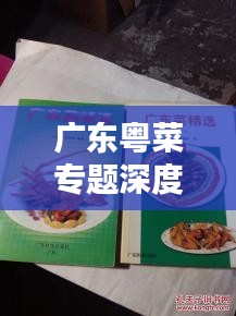 广东粤菜专题深度解析