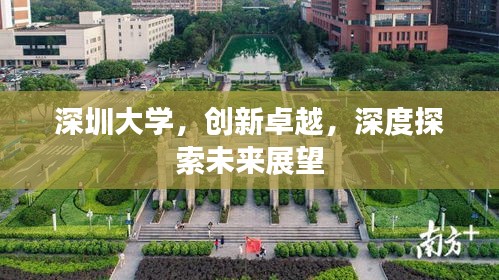 深圳大学，创新卓越，深度探索未来展望