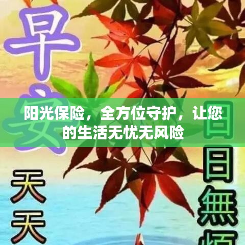 阳光保险，全方位守护，让您的生活无忧无风险