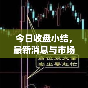 今日收盘小结，最新消息与市场动态概览