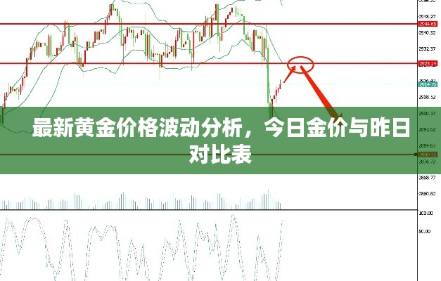 最新黄金价格波动分析，今日金价与昨日对比表