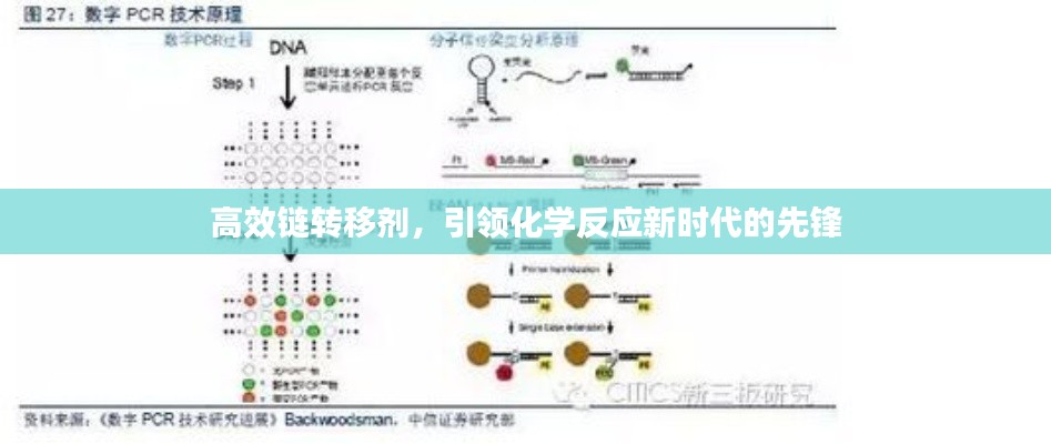 高效链转移剂，引领化学反应新时代的先锋