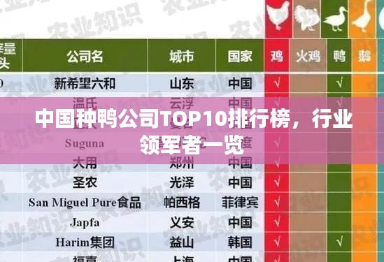 中国种鸭公司TOP10排行榜，行业领军者一览