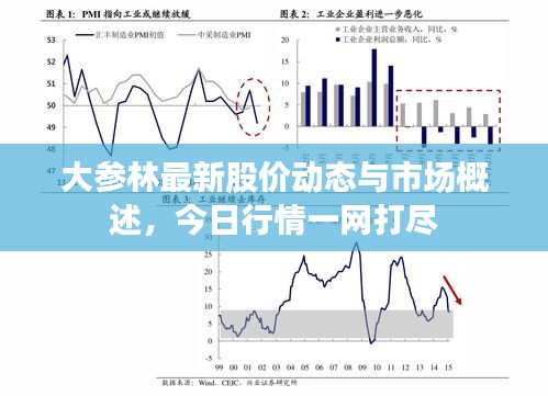 大参林最新股价动态与市场概述，今日行情一网打尽