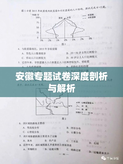 安徽专题试卷深度剖析与解析