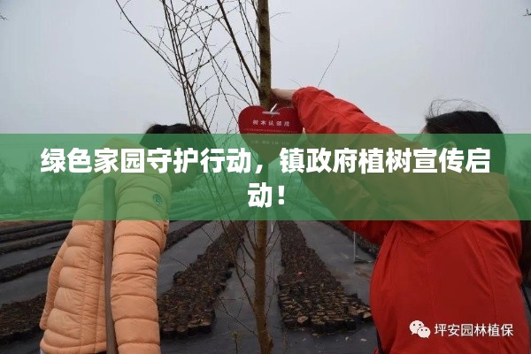 绿色家园守护行动，镇政府植树宣传启动！