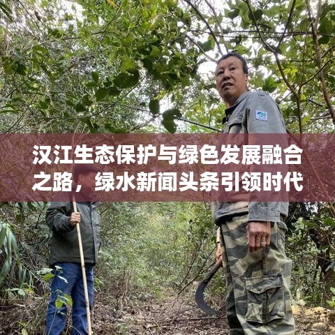 汉江生态保护与绿色发展融合之路，绿水新闻头条引领时代新风尚