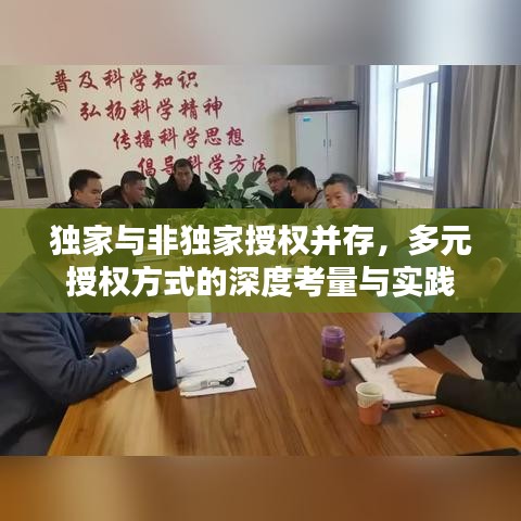 独家与非独家授权并存，多元授权方式的深度考量与实践