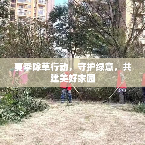 夏季除草行动，守护绿意，共建美好家园