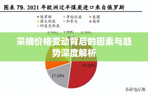 采摘价格变动背后的因素与趋势深度解析