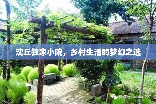 沈丘独家小院，乡村生活的梦幻之选