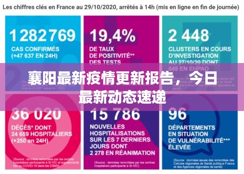 襄阳最新疫情更新报告，今日最新动态速递