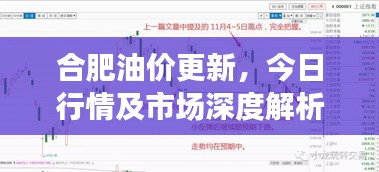 合肥油价更新，今日行情及市场深度解析