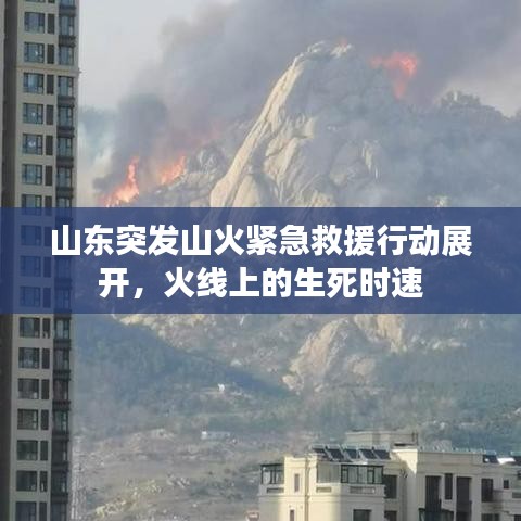 山东突发山火紧急救援行动展开，火线上的生死时速