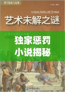 独家惩罚小说揭秘，惩罚艺术的深度探索与广度展现