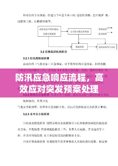 防汛应急响应流程，高效应对突发预案处理