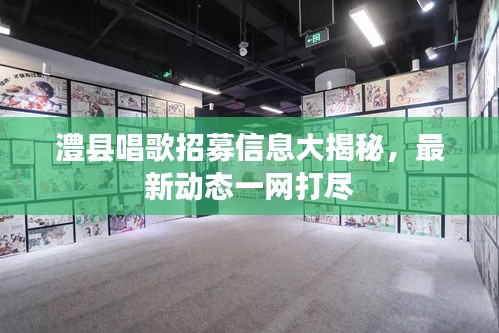 澧县唱歌招募信息大揭秘，最新动态一网打尽