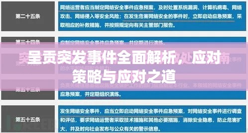 呈贡突发事件全面解析，应对策略与应对之道