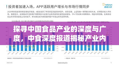 探寻中国食品产业的深度与广度，中食深度报道揭秘产业内幕