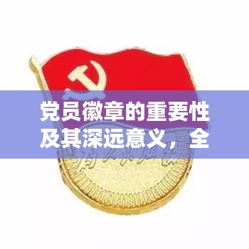 党员徽章的重要性及其深远意义，全面理解与践行