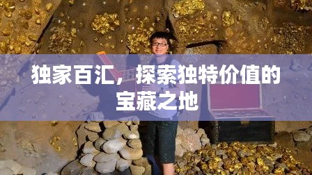 独家百汇，探索独特价值的宝藏之地