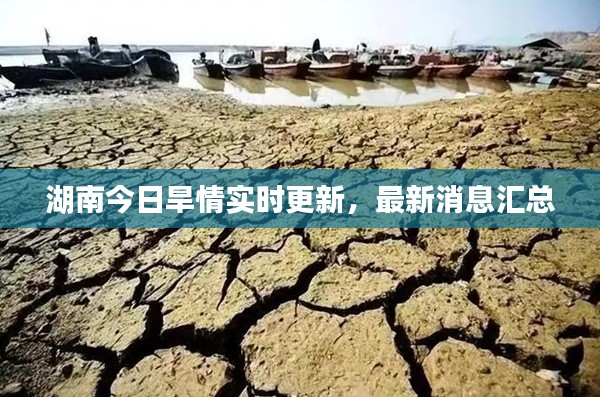 湖南今日旱情实时更新，最新消息汇总
