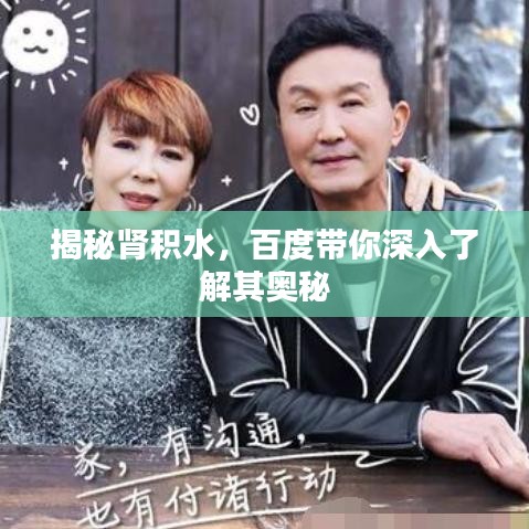 揭秘肾积水，百度带你深入了解其奥秘