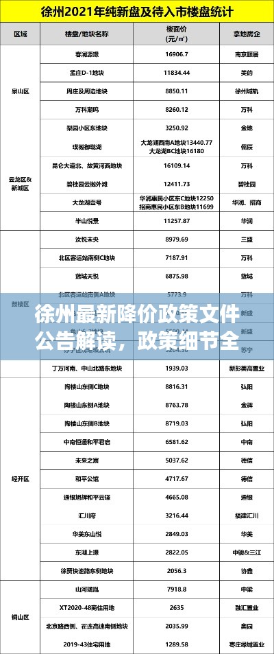 徐州最新降价政策文件公告解读，政策细节全解析