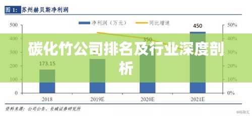 碳化竹公司排名及行业深度剖析