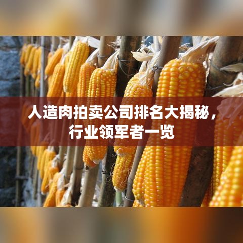 人造肉拍卖公司排名大揭秘，行业领军者一览