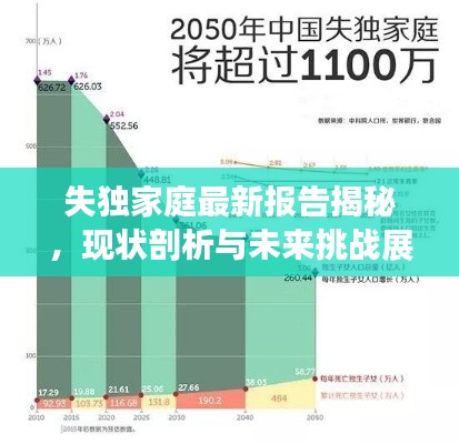 失独家庭最新报告揭秘，现状剖析与未来挑战展望