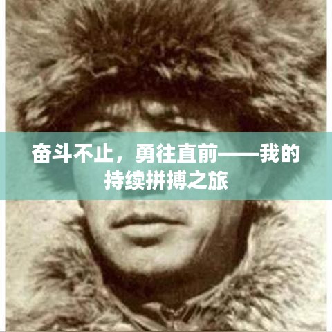 奋斗不止，勇往直前——我的持续拼搏之旅
