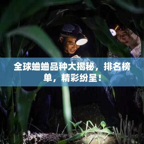 全球蛐蛐品种大揭秘，排名榜单，精彩纷呈！