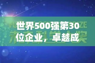 世界500强第30位企业，卓越成就铸就辉煌，未来发展展望无限
