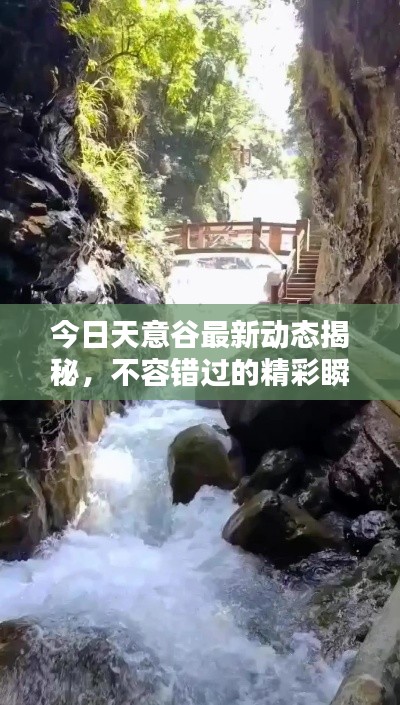 今日天意谷最新动态揭秘，不容错过的精彩瞬间！