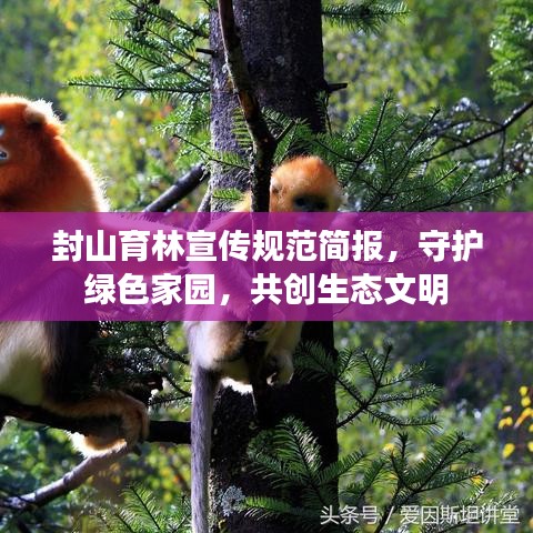 封山育林宣传规范简报，守护绿色家园，共创生态文明