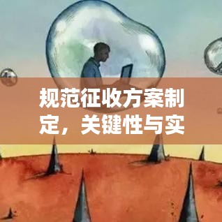 规范征收方案制定，关键性与实施策略探讨