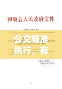 公文精准执行，有效、实效与高效之道
