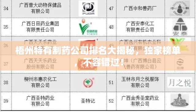 梧州特有制药公司排名大揭秘，独家榜单，不容错过！