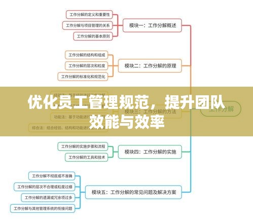 优化员工管理规范，提升团队效能与效率